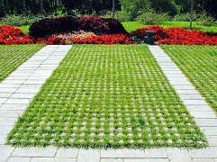 植草砖6