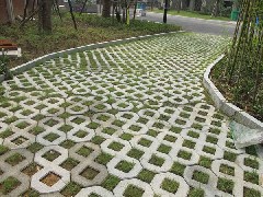 植草砖4